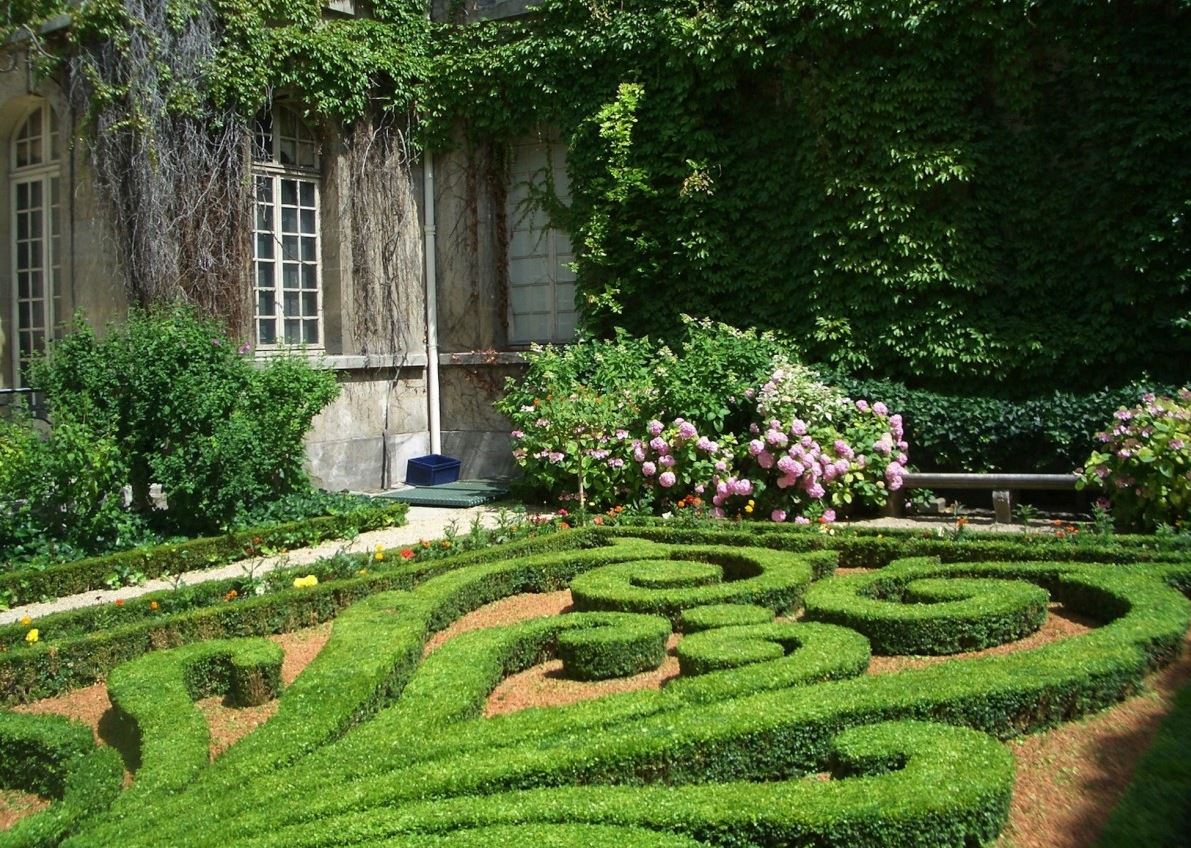 beautiful garden with decorative lawn