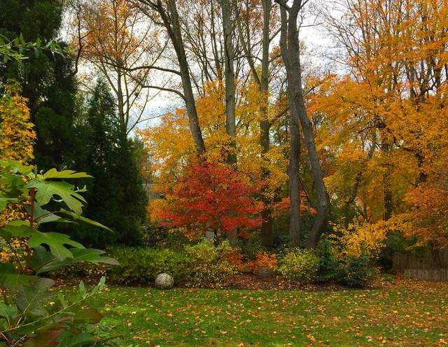 Fall landscape